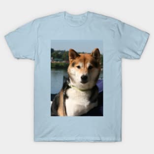 shiba inu 1 T-Shirt